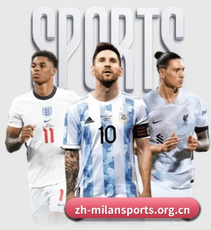 五大服务分区,信息按项目分类（milan）